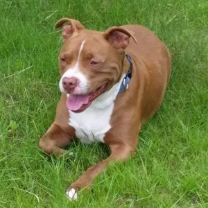 Meet your Posher, Melinda